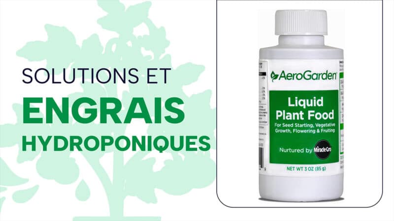 Engrais et solutions hydroponiques : comment booster la croissance de vos plantes ?