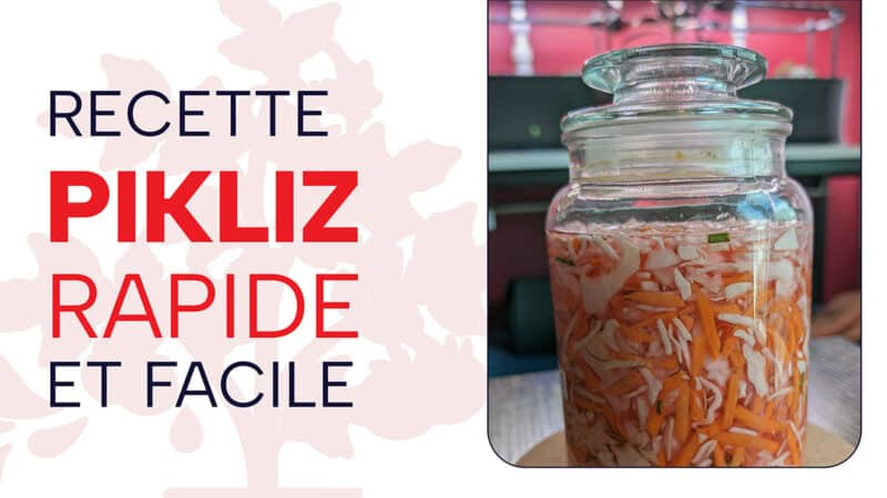 Pikliz Haïtien : recette rapide et facile de Mister Plantes