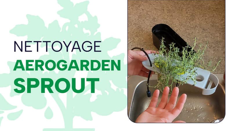 Aerogarden Sprout : tutoriel pour le nettoyage et l&rsquo;entretien régulier