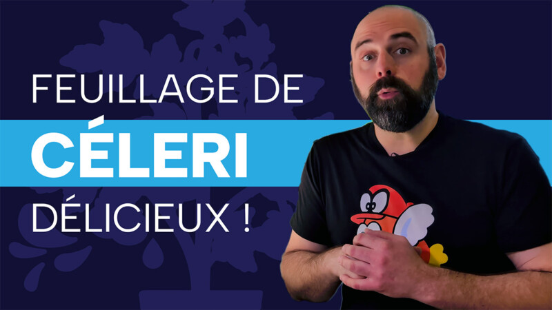 Feuillage de céleri : un projet Click & Grow réussi !
